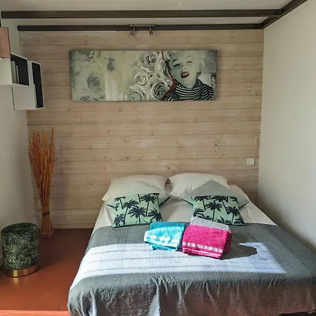Climatise Avec Mezzanine Au Calme Avec Terrasse Et Parking Idealement Situe Pour Faire A Pied ! Апартаменты *